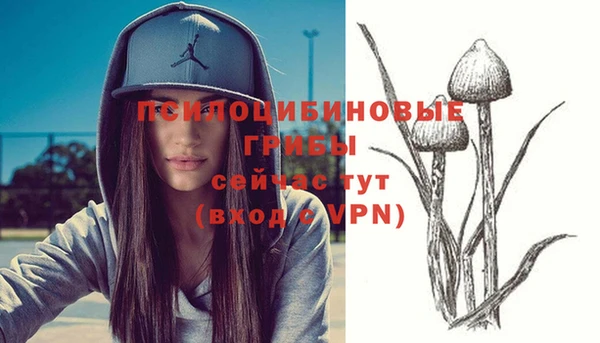 бошки Алексеевка