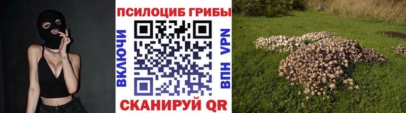 Галлюциногенные грибы прущие грибы  Тара 