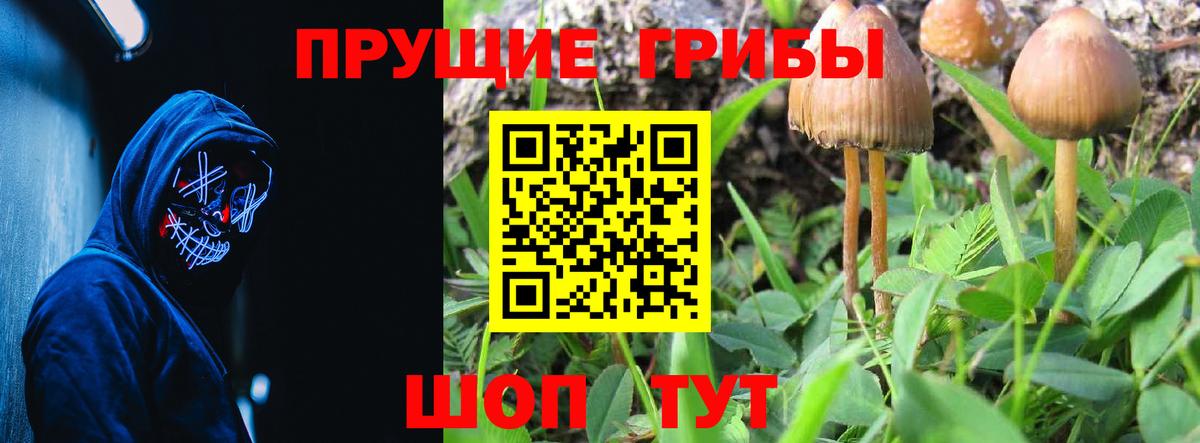 Галлюциногенные грибы прущие грибы Тара
